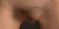 fine pubic snatch hairs