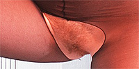 fuzzy red pubic hairs